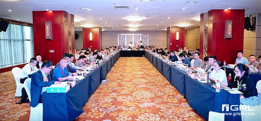 2023年度全國低壓電器標(biāo)準(zhǔn)化技術(shù)委員會(huì).jpg 2023年度全國低壓電器標(biāo)準(zhǔn)化技術(shù)委員會(huì).jpg
