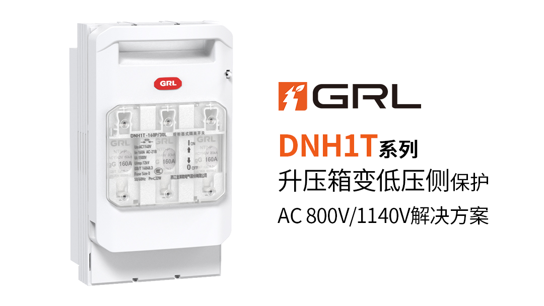 1732687456818951.jpg DNH1T系列-1.jpg
